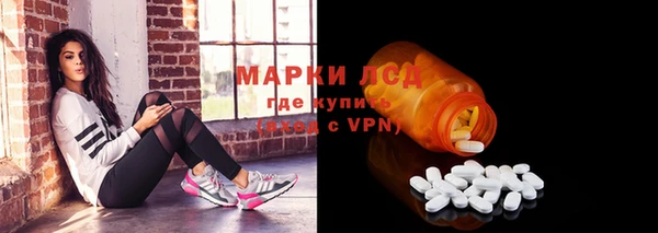 PSILOCYBIN Осинники