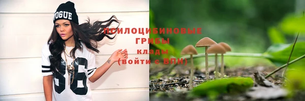 PSILOCYBIN Осинники