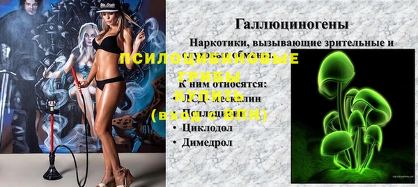 трава Осташков