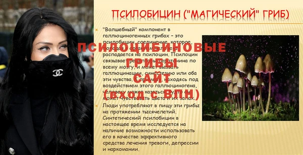 кокс Нягань