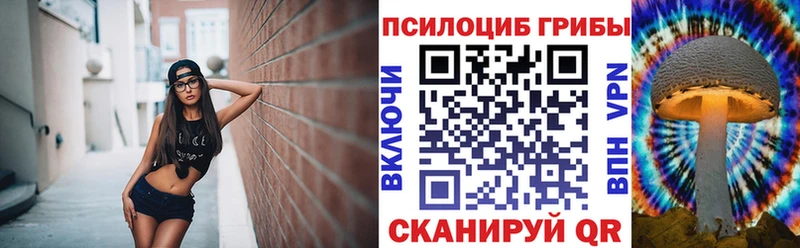 цены   blacksprut маркетплейс  Псилоцибиновые грибы прущие грибы  Чкаловск 